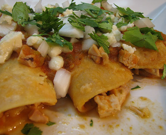 Mexican fried and sauced enchiladas