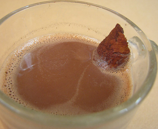 Mexican hot chocolate with Ceylon cinnamon